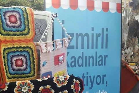 Lise Öğrencileri, Kurdukları ve Yönettikleri